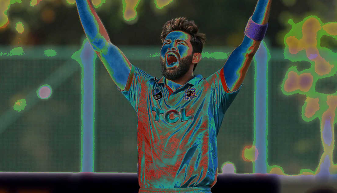 আটটি অধ্যায়, শূন্য তথ্য: যে রিপোর্ট ক্রিকেট বিশ্লেষণের আসল রোগটা ধরে ফেলল