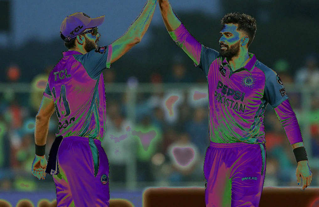 Empty Information Points: The Most Honest Signal in Cricket Analytics